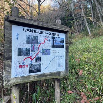 ここもハイキングコースになっていて誰でも気軽に歩ける山道になっています♪