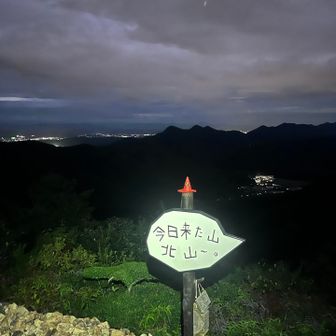 寄り道、虫多し