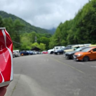 「登山お疲れさまでしたー♪
キンキンに冷えたコーラありますよー
おひとついかがですかー？」

たぶん夏休みのお手伝いであろう、小学生ぐらいの男児と初老の男性が笑顔を振り撒く

「ちぇっ、ビールは無いのかよ…」

思わず、そんな言葉が喉まで出かかったが…
少年の笑顔に絆されてコーラ（￥２５０）を購入してしまった

シャリシャリのコーラが疲れた身体に染み入る…

全然知らんかったよ…
下山後のコーラがこんなに美味しかっただなんて…(´ρ`)💕

（あ、写真を撮る前に缶潰しちゃった💦）