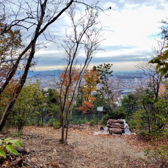 林山からの展望