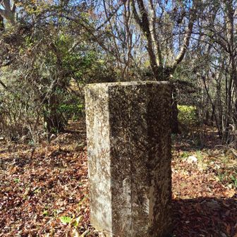 天測点は、昭和29年から昭和33年までの5年間に一等三角点がある場所の側に全国で四十八箇所に設置されたそうです。四国では五在所ノ峯（高知県）とココ大山の2ヶ所のみ。5ヶ所は現存していないらしく、全国で43ヶ所に残存しているそうです。　