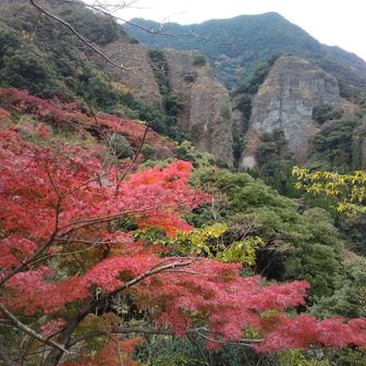 北九やっちゃん