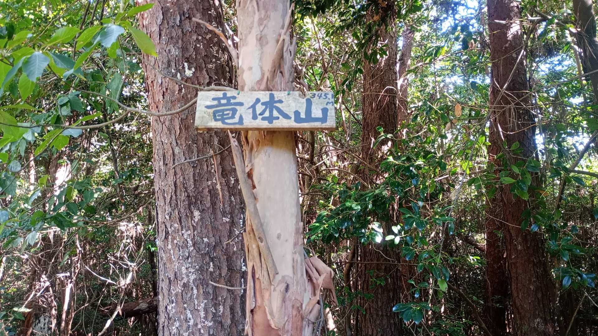 竜体山山頂
