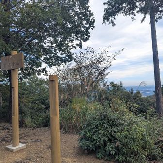 なぜか銘のない官ノ倉山の柱。