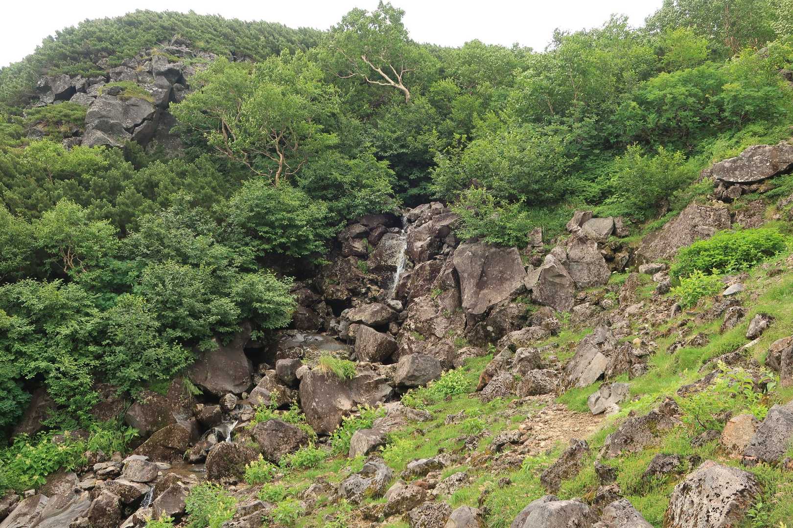 他の登山者とは殆ど会わないので絶好の休憩場所も無人。ハイシーズンなのにこれは嬉しい♪
