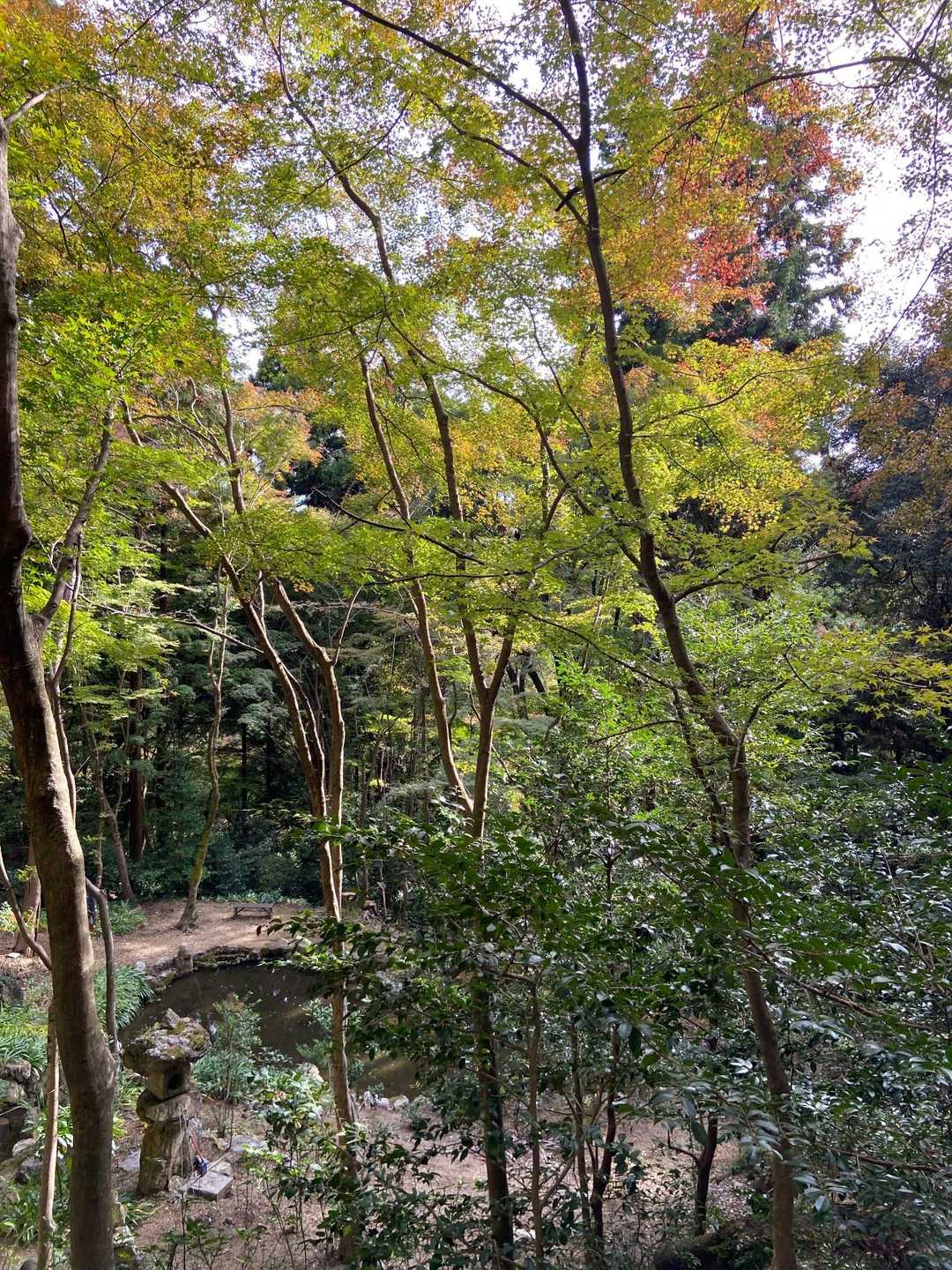 大矢田神社登山口-大矢田神社-天王山-白山 往復コースの写真