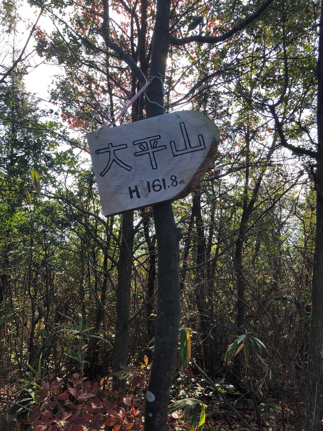 山頂の看板