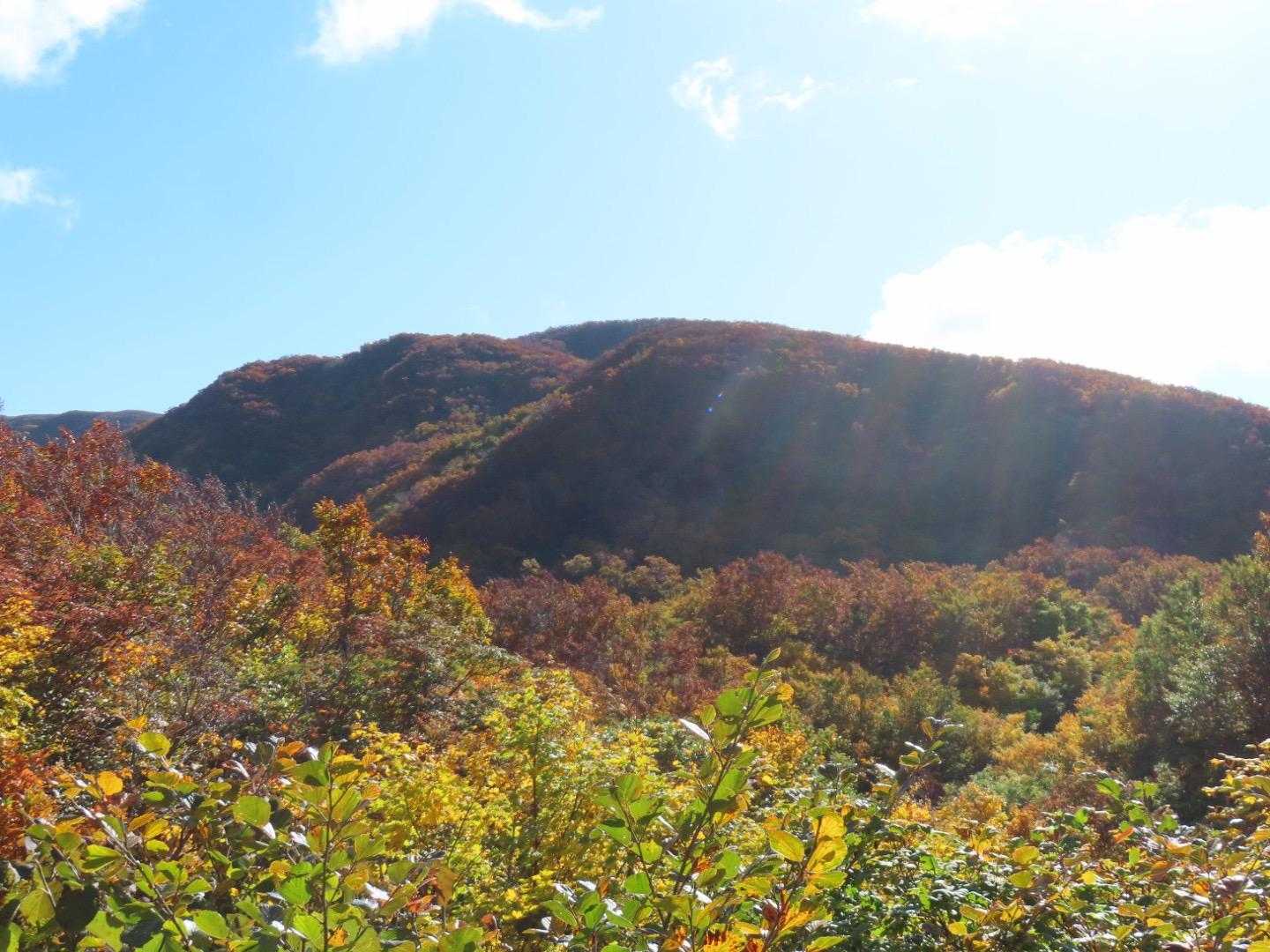 二王子岳登山口-一王子神社-定高山-三王子神社-二王子岳- 往復コースの写真