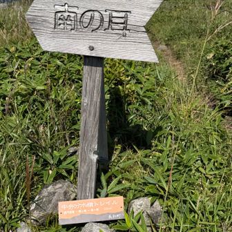 静かな南の耳