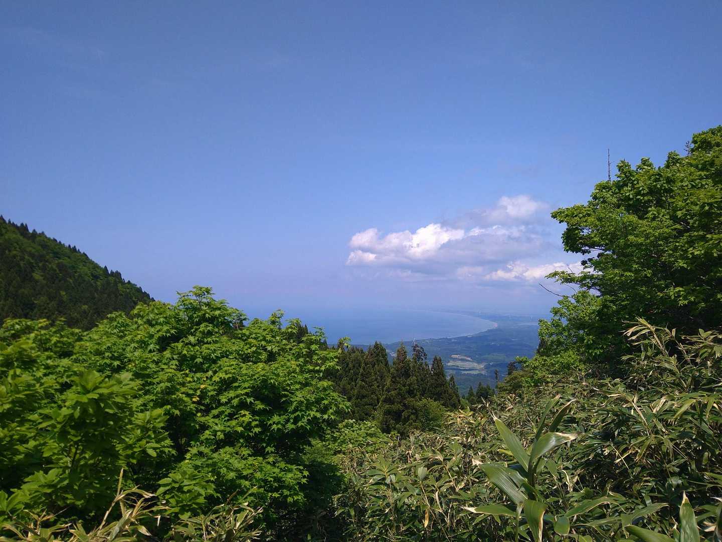 真山-本山 往復コースの写真