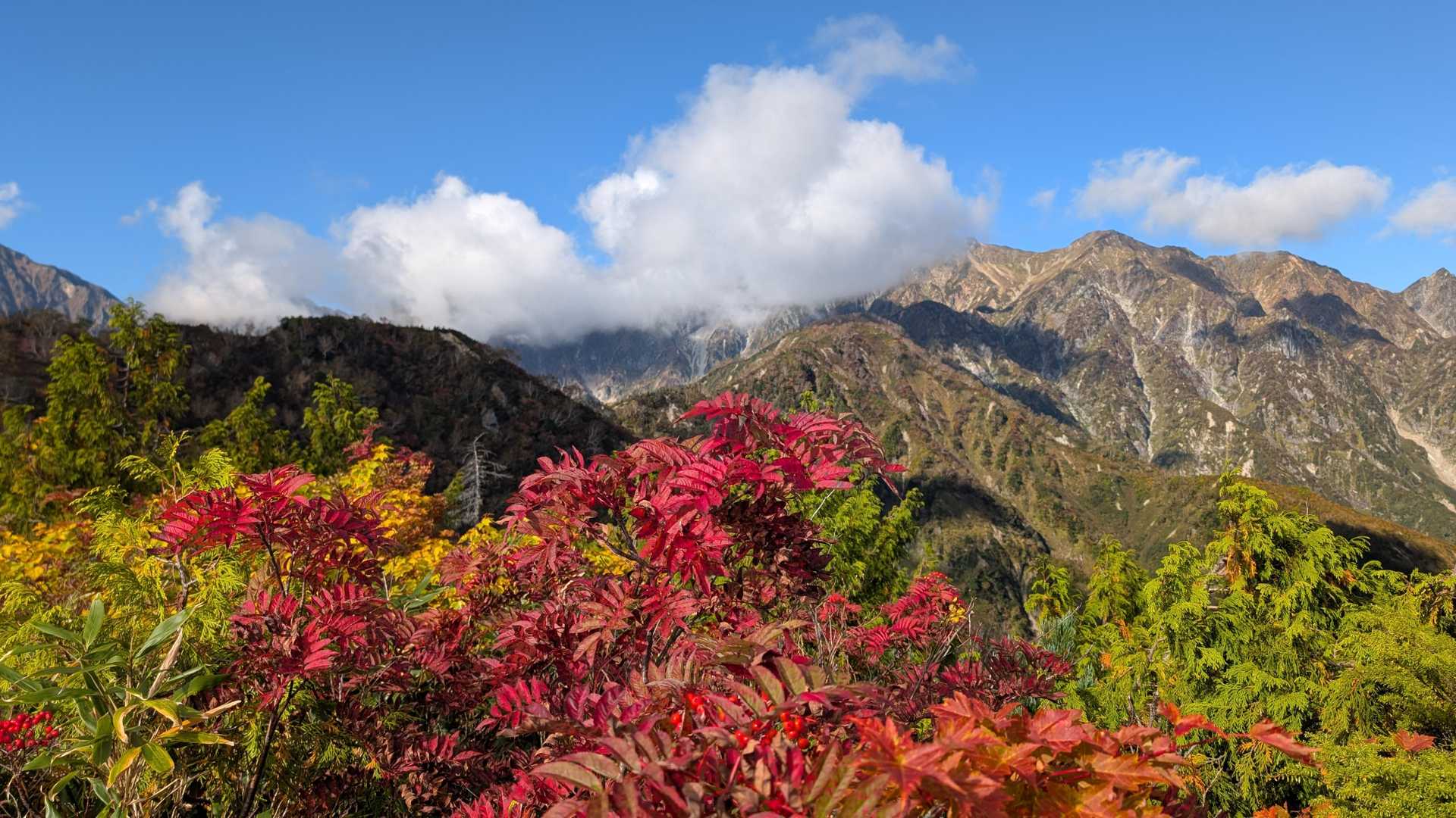 八方池山荘-唐松岳-五竜岳-小遠見山-アルプス平駅 縦走コースの写真