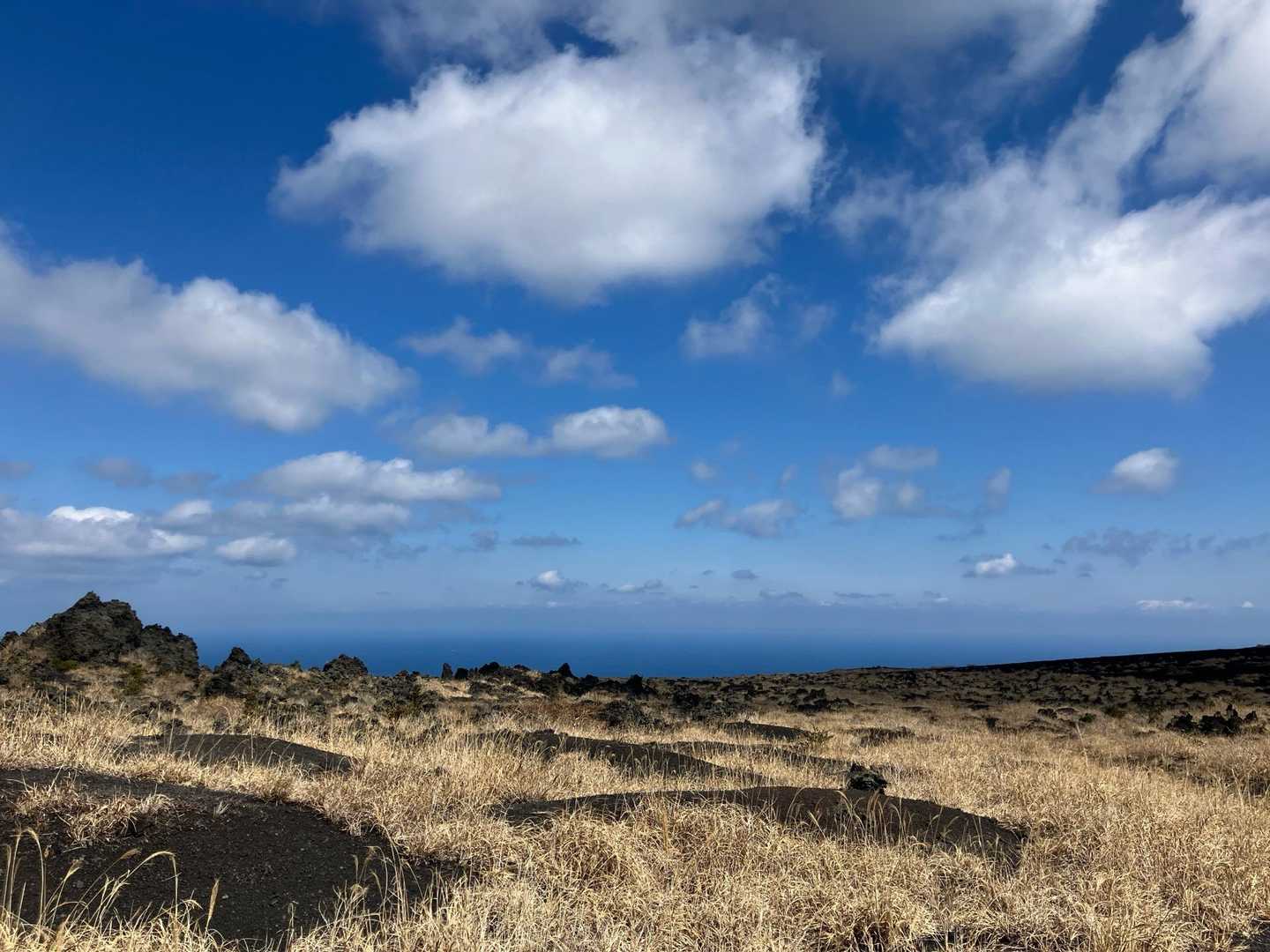 三原山頂口バス停-剣ガ峰-温泉コース登山口
 縦走コースの写真