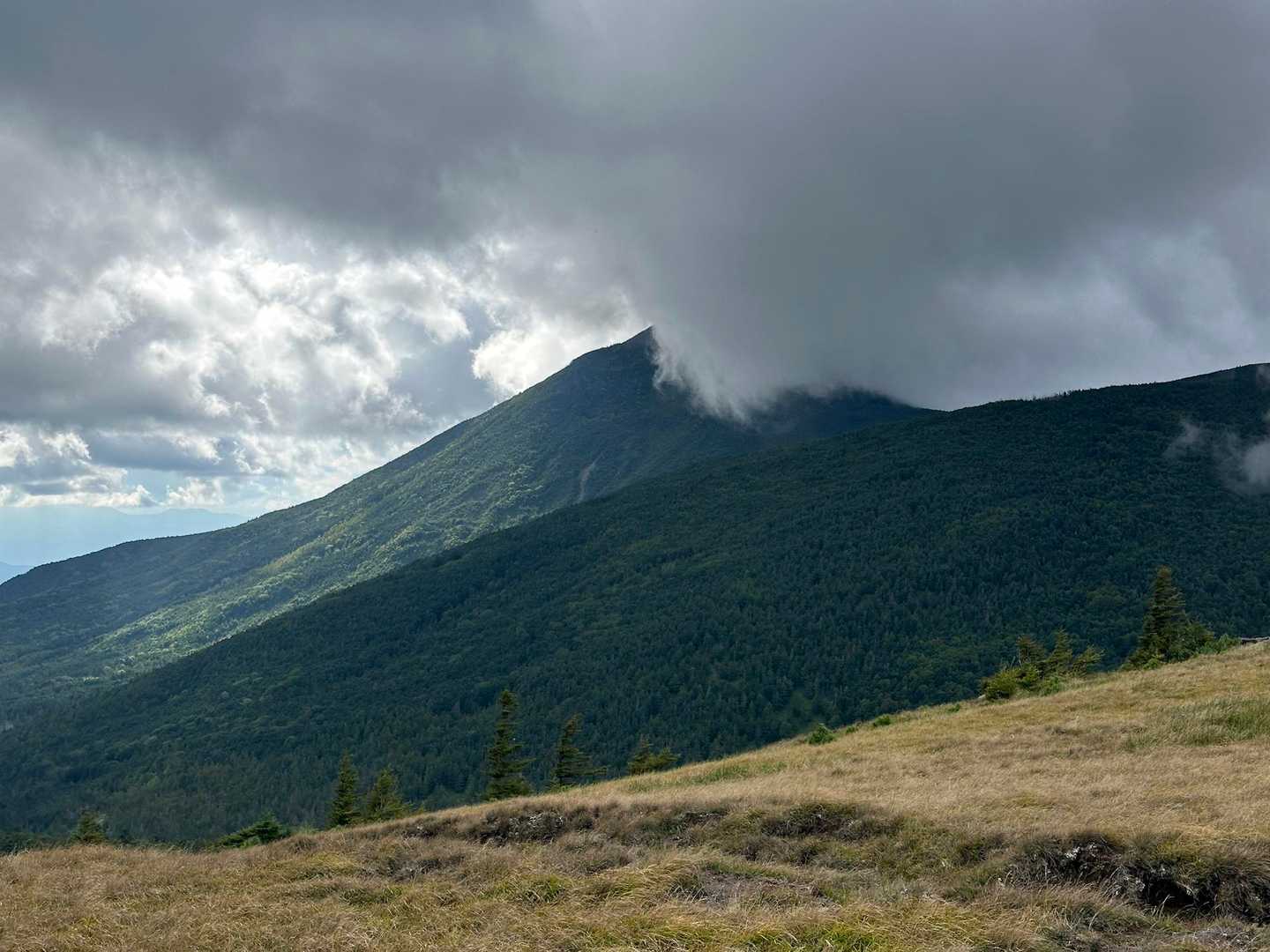 藪を越え開け蓼科山がドカーーーン⛰️✨
でも帽子かぶってて残念😇💦
