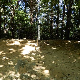 羽柴秀吉が築いた山崎城のあった頂上です。
天王山の名は、先ほど通ってきた酒解神社がかつて天王社と呼ばれていたことから付けられたそうです。