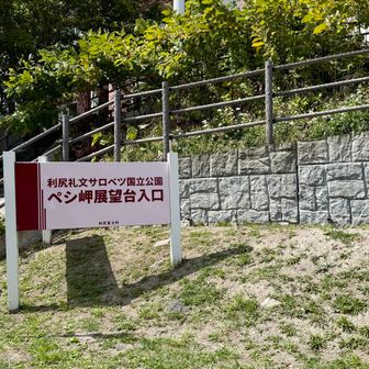 締めのペシ岬