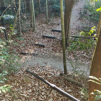 再びアクセス路に戻る。
下りるのに6分を要した。
登りの方から短時間だった感じがします。