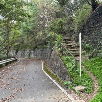 ここは右の階段を進みます