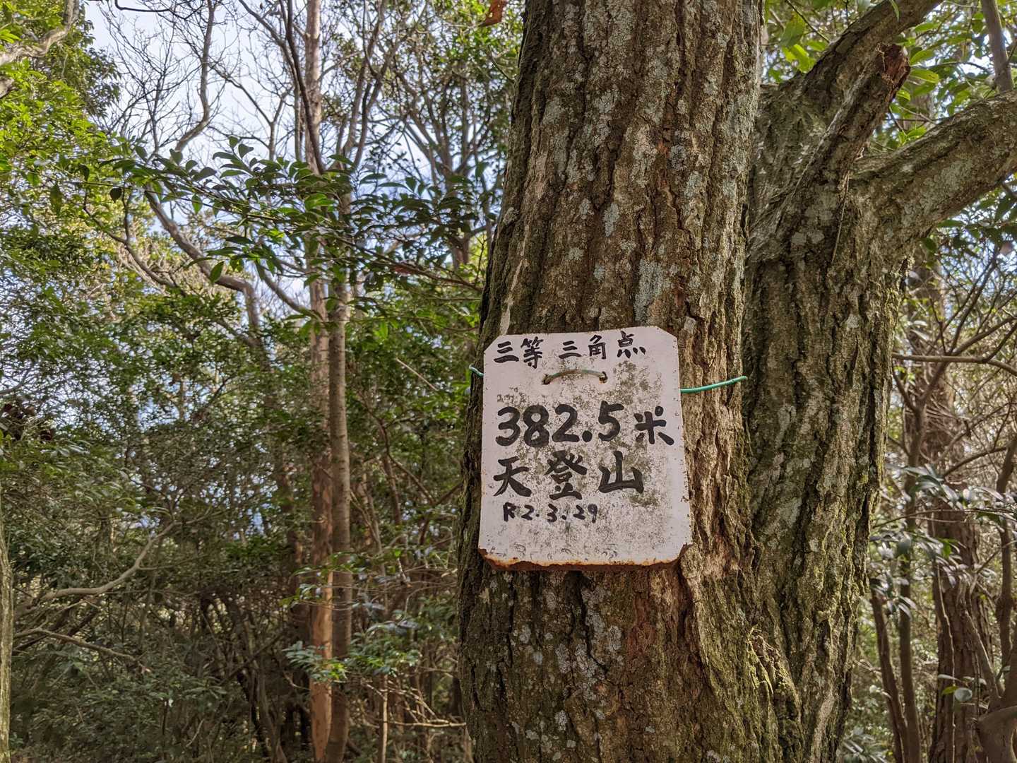 山頂⛰の眺望はありません🙅