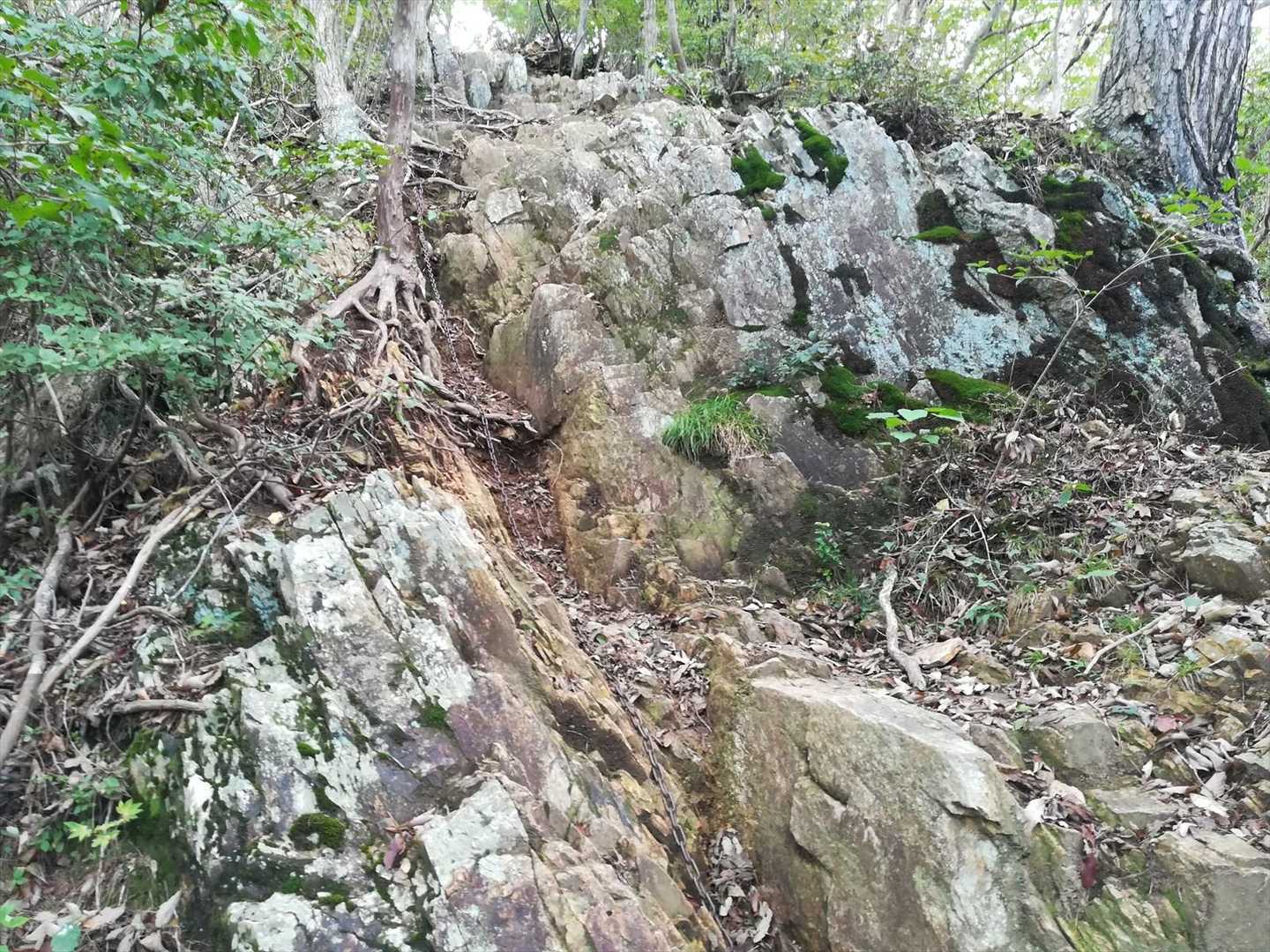 （私には）本格的な鎖場