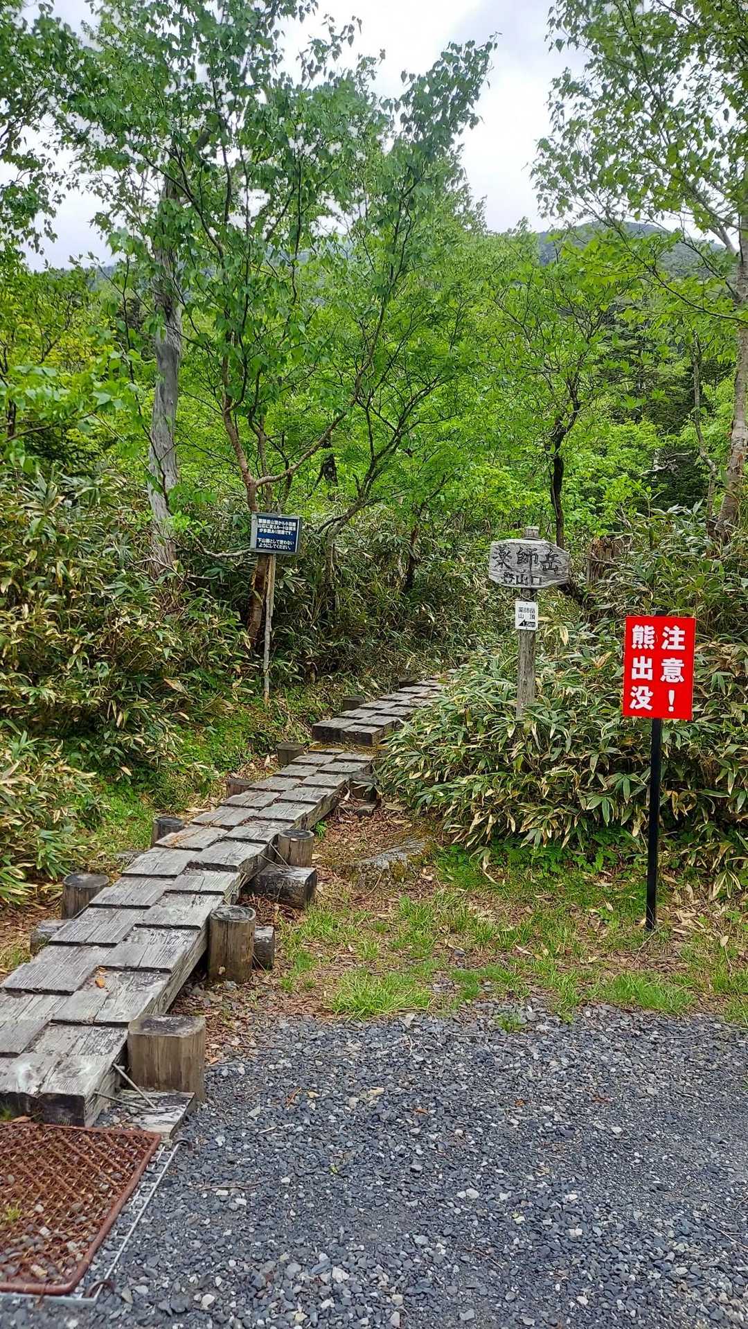 木道から始まり岩岩の登山道と変化して行きます