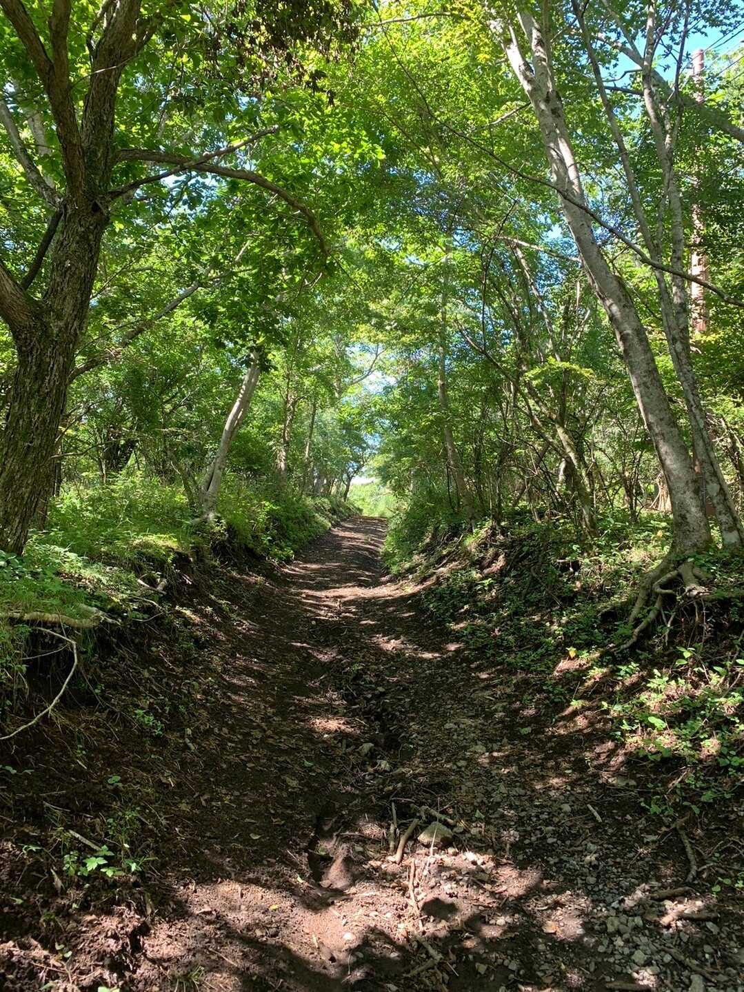 長池山の写真