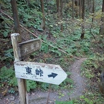 ここが、今回の天覚山登山口です。ヤマノススメとは、別ルートです。ヤマノススメのルートは、 2025.10.22 公開の活動日記です。