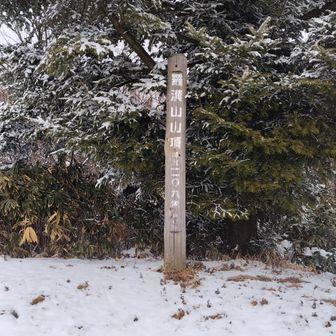 羅漢山到着です。