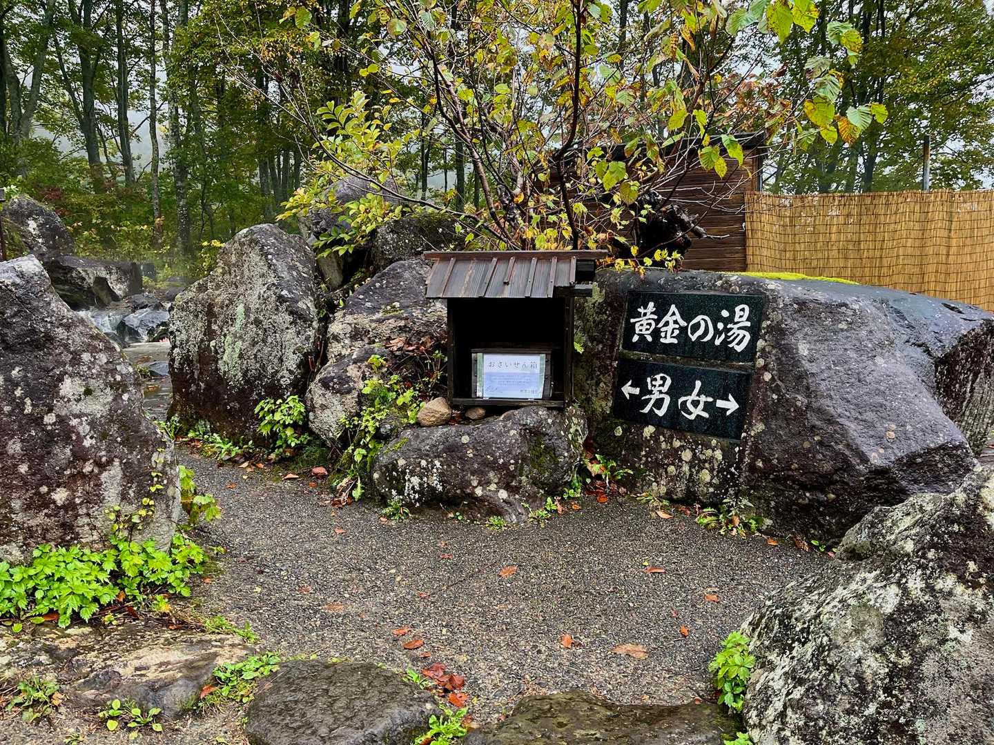 黄金の湯