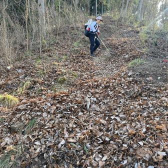 フカフカの枯葉でめっちゃ滑るよ💦