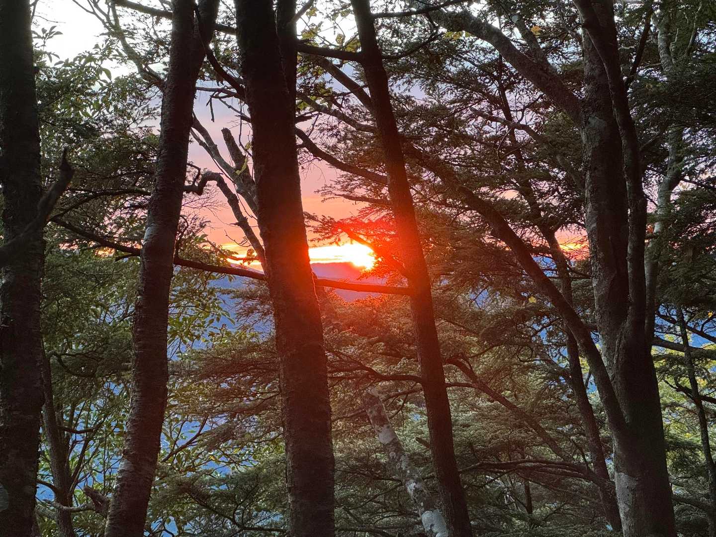 御来光🌄はこんな感じ………😆
まぁしょーがないか😆
