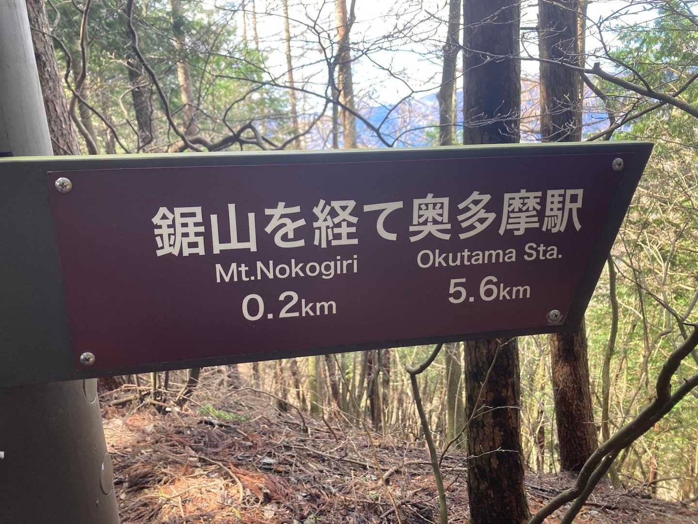 こっちに行くかを5分程悩んでいました。