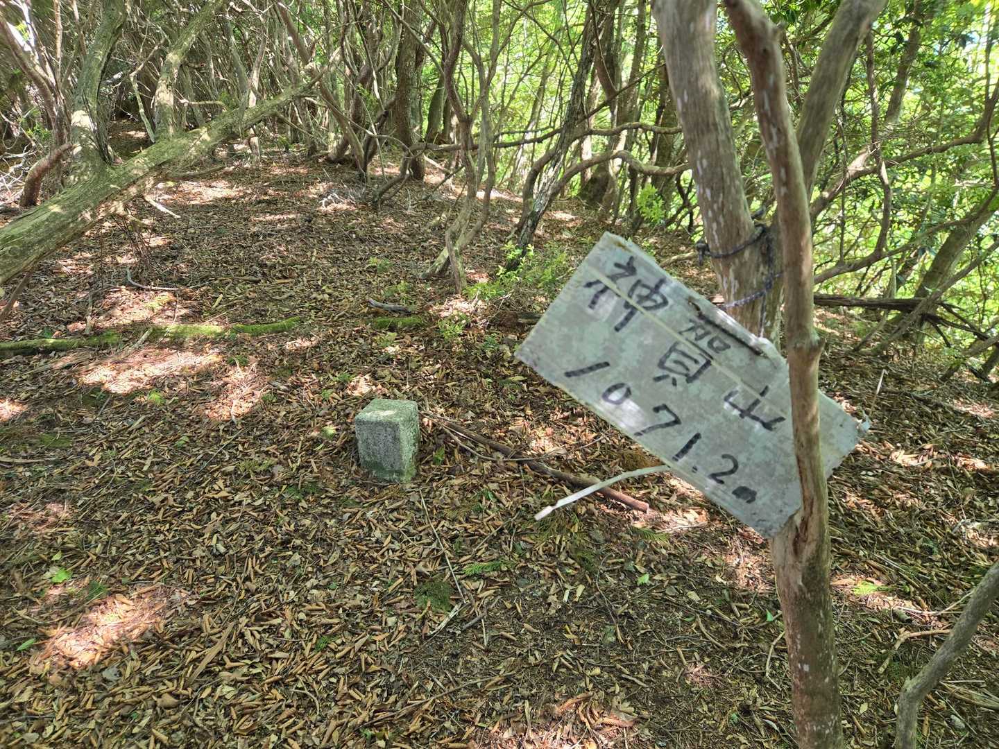 神賀山、登頂～☺