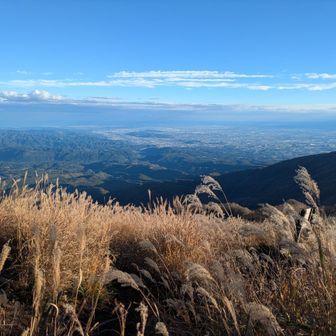ススキのエリア
気温は14℃
結構な暴風で身体が冷える😐️
背中には汗はかかないほど😊