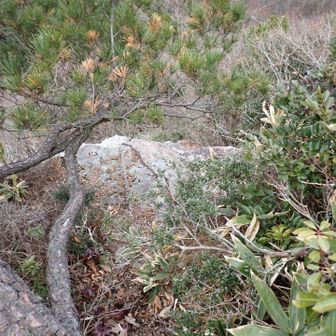 鎖場
細い鎖がかかっていたのでしがみついて降りました。