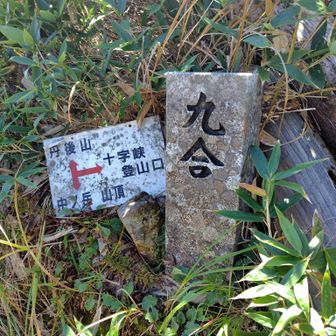 後少しで山頂💪