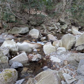 今日一番難易度の高い渡渉。渡り終えて振り返ったところ