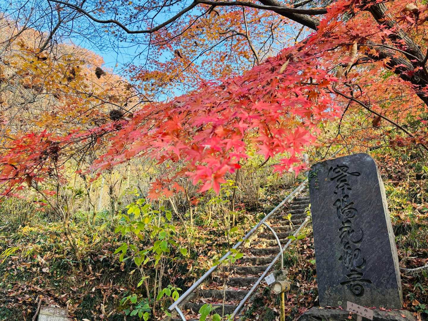 紫陽花観音。お散歩するのにいいルートでした☺️また来ます。