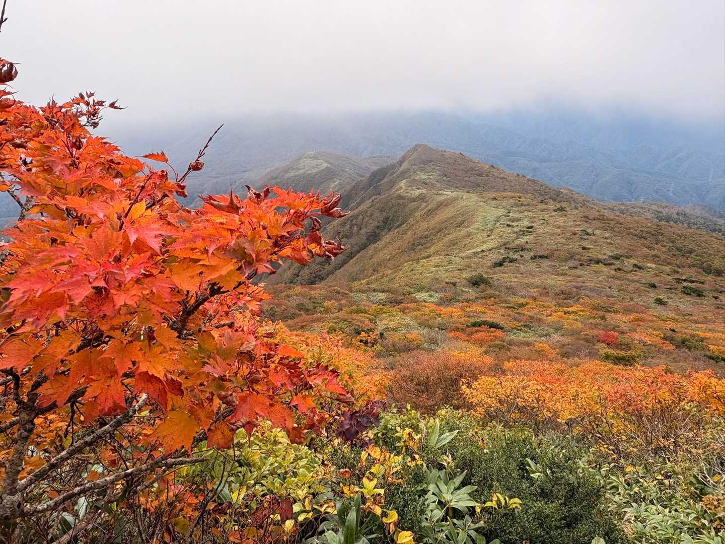 大関山-ハマグリ山-トンガリ山-山形神室岳-神室岳-笹谷峠 周回コースの写真