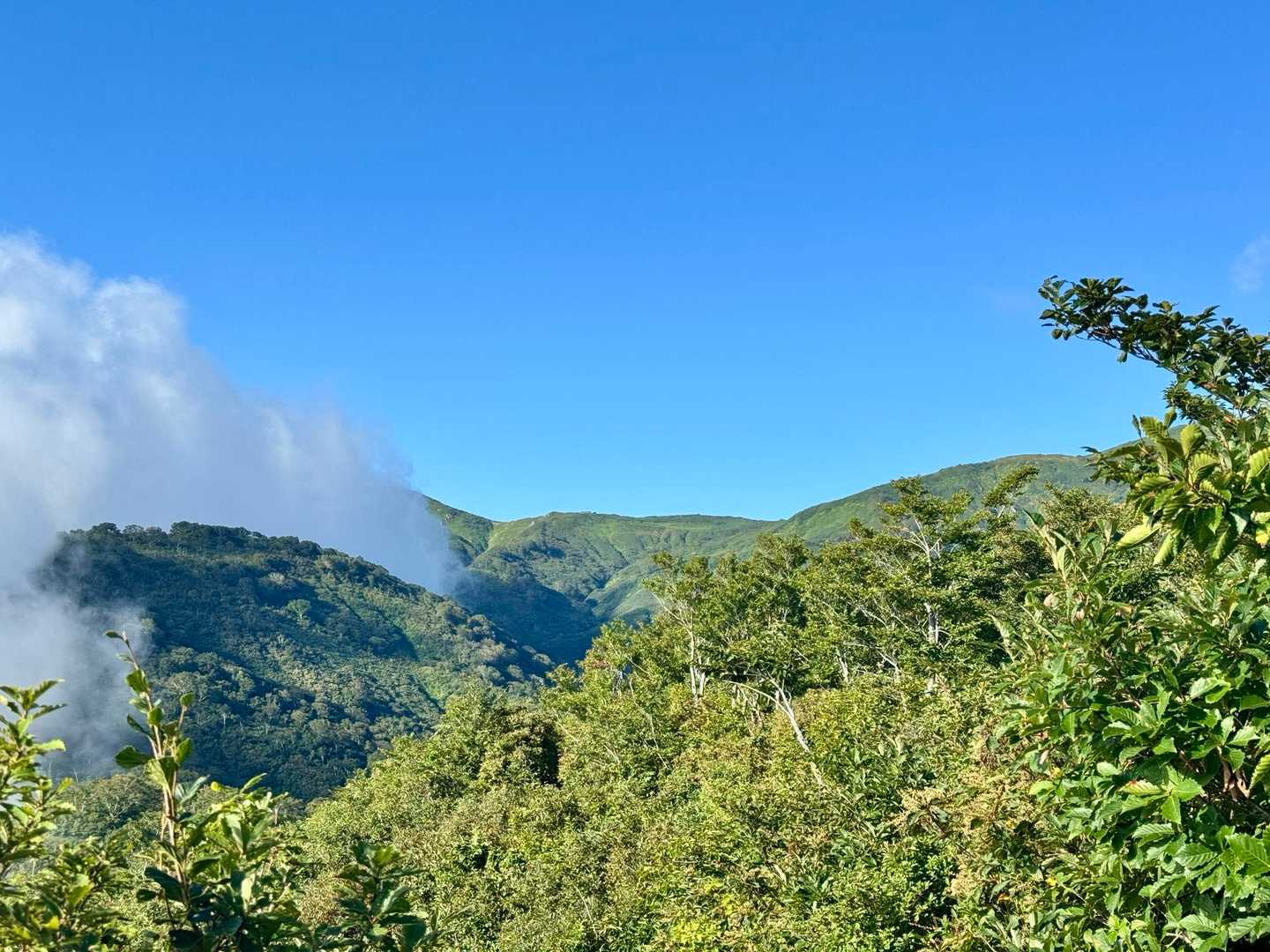 地蔵岳-草履塚-飯豊山神社-飯豊山 往復コースの写真
