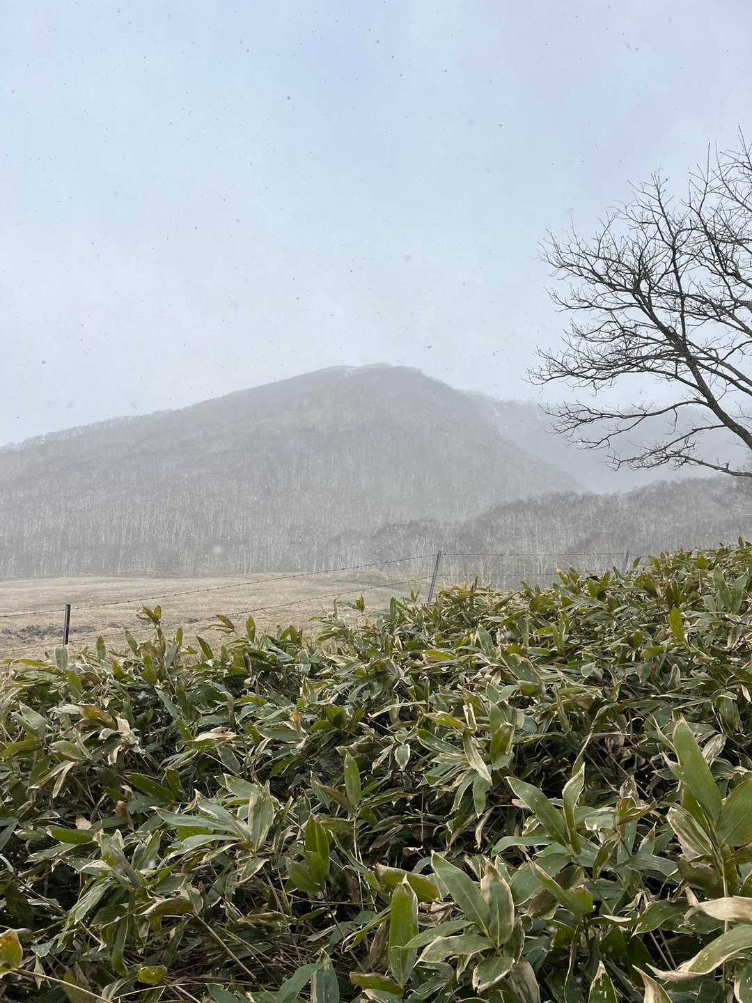 ヌプカの里登山口-岩石山 往復コースの写真