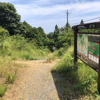 食事時間も含めて約1時間撮影しました。では下山します！