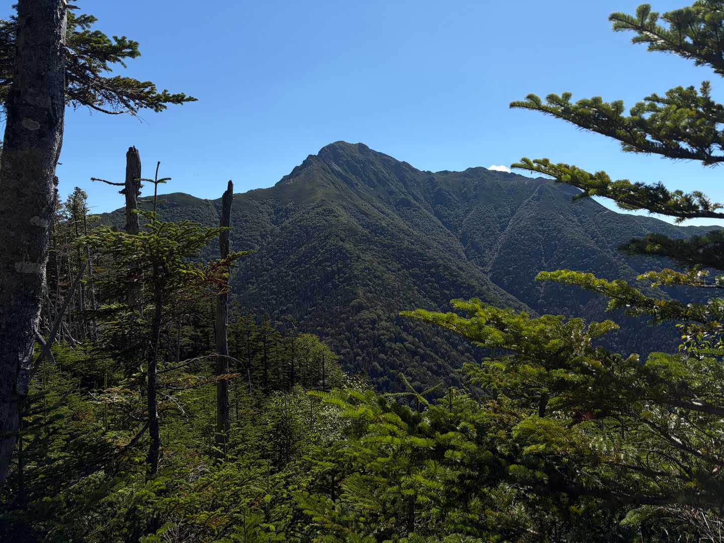 下山途中で振り返る、名残惜しい