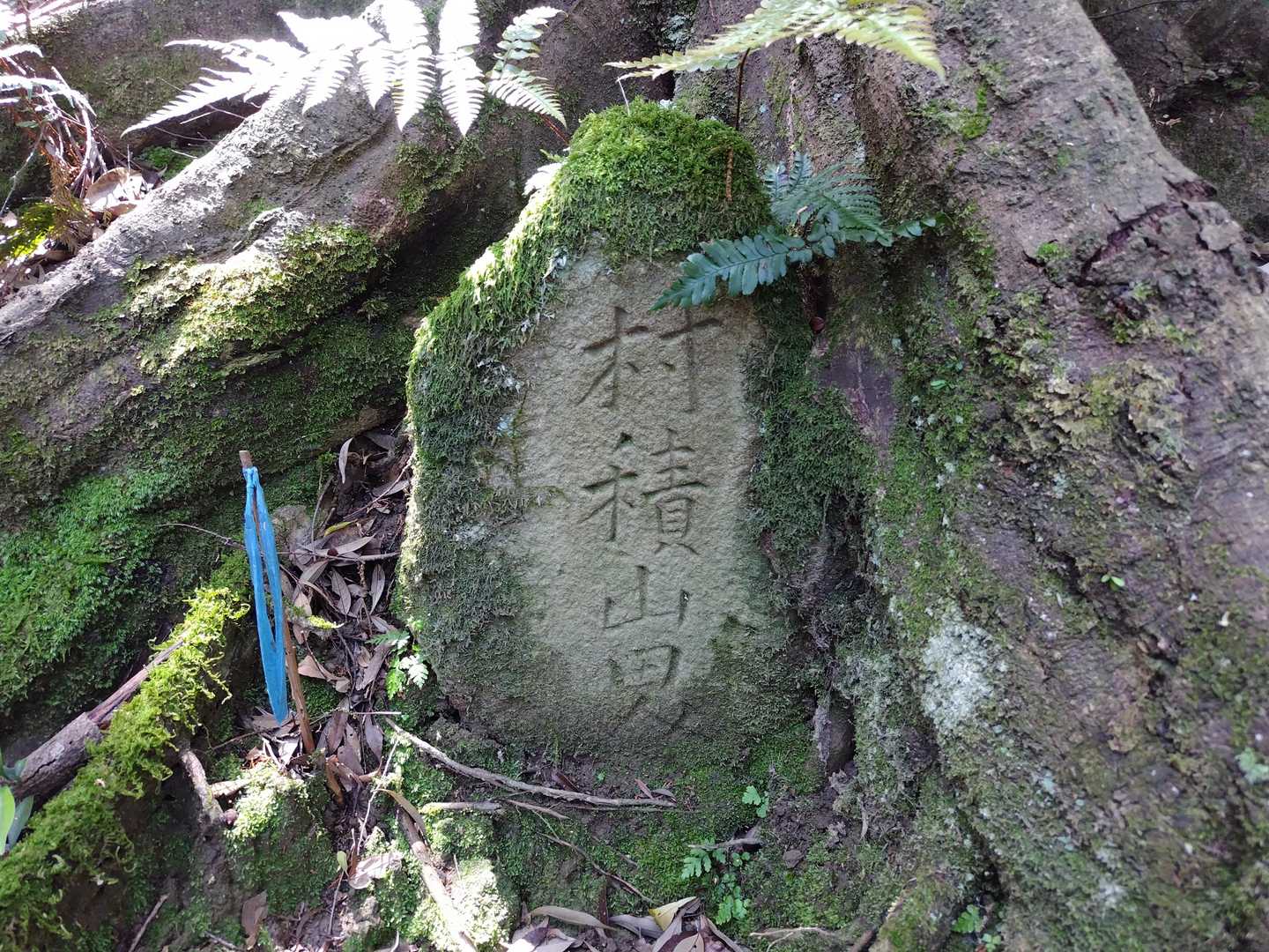 村積山……田？？？