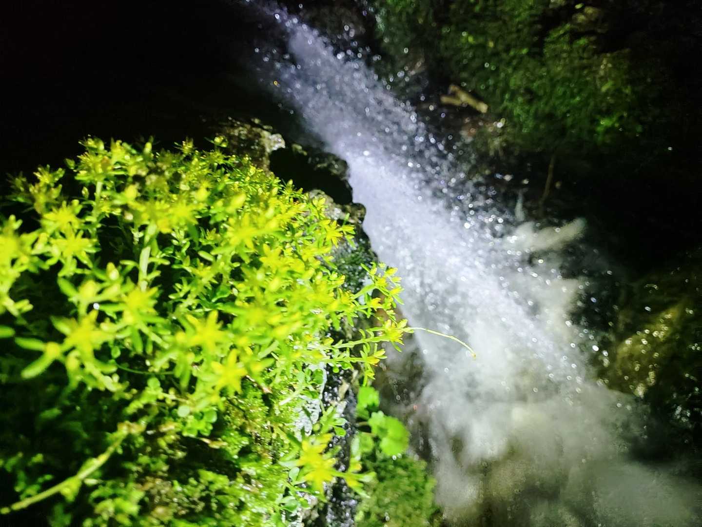 今日も有難う御座いました✨