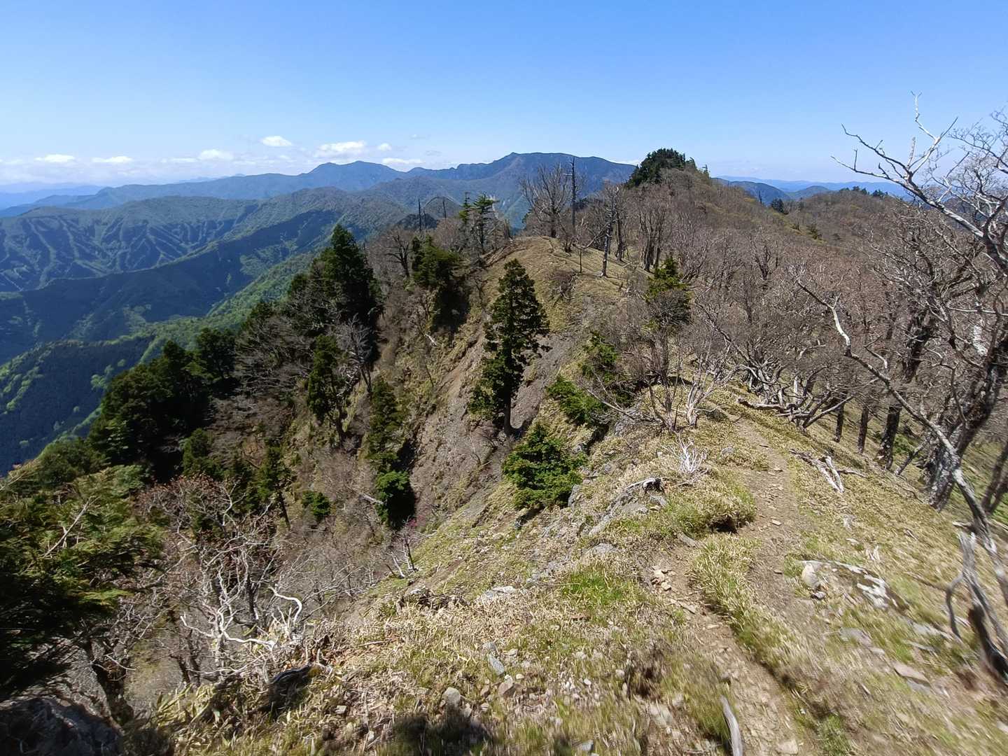奥駆らしい景色😍
正面奥：弥山＆八経
やや左：釈迦＆孔雀