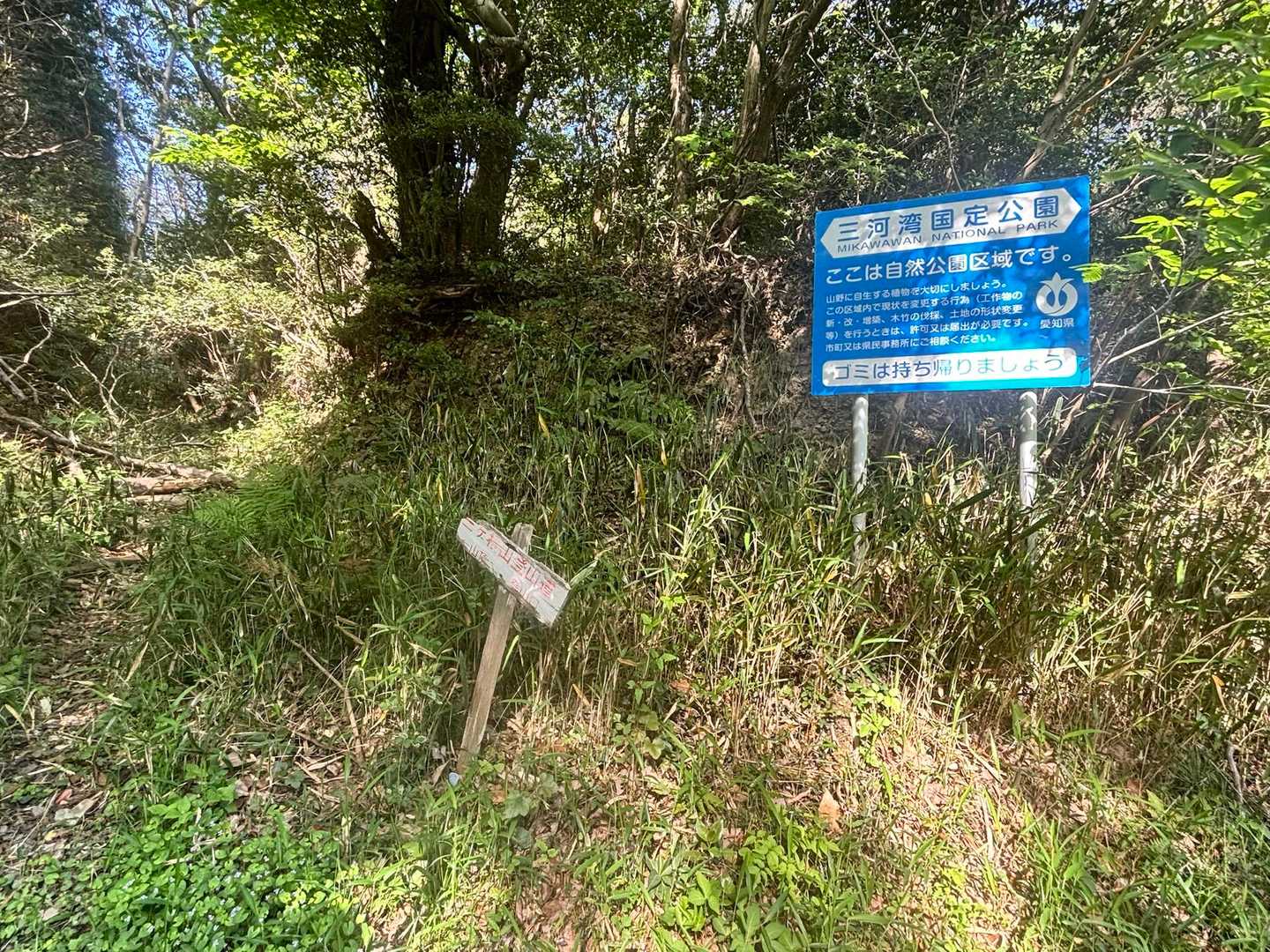 ここが登山口みたいだけどベストなのは下山の時に通った道だと思う