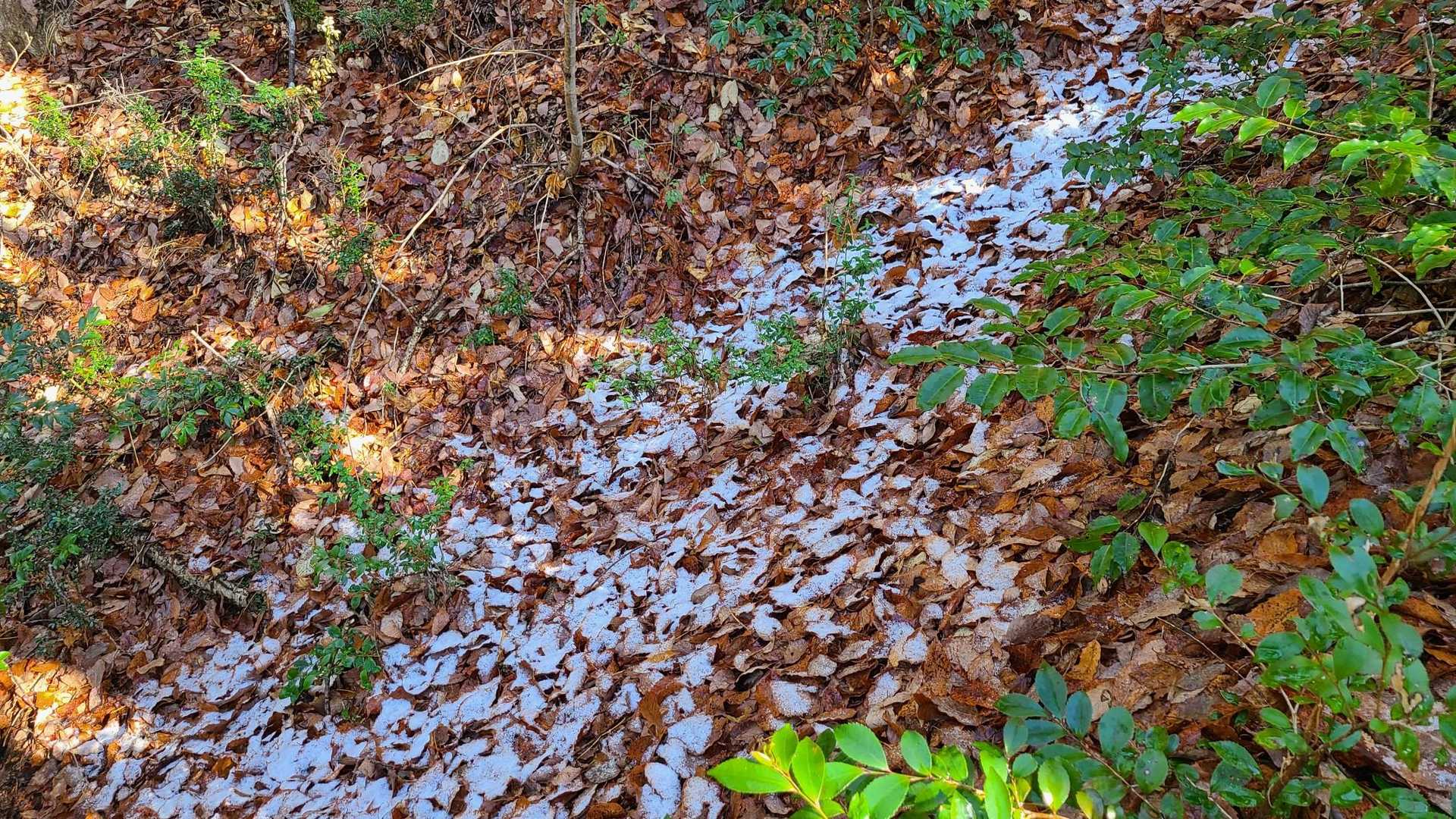 日陰には少し雪が