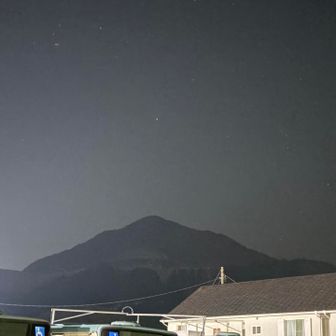 シルエットだけでもわかりますね