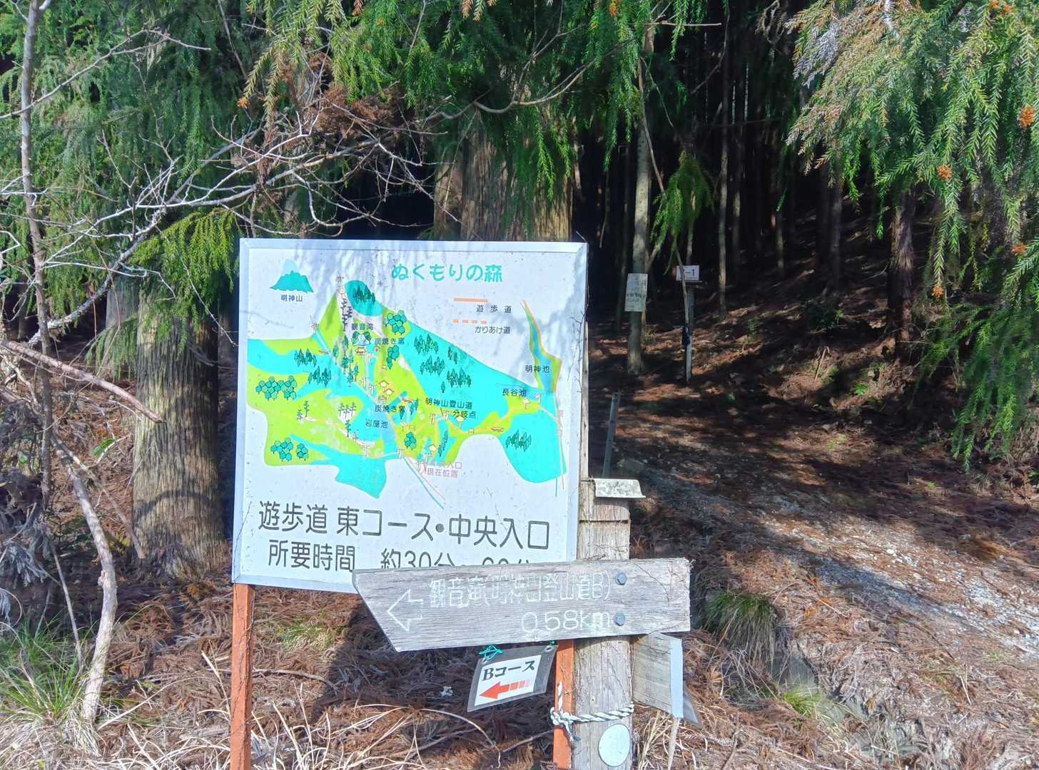 Cコースの入り口に帰って来ました
