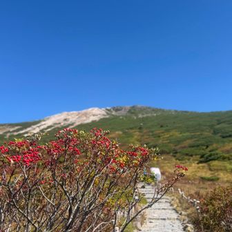 秋を感じる三枚目🍂